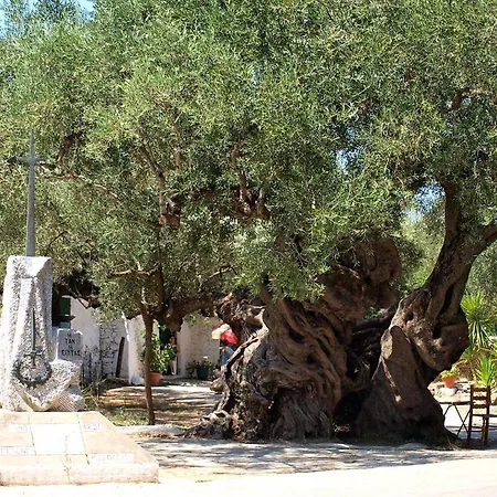 Appartement Tropical Laganas