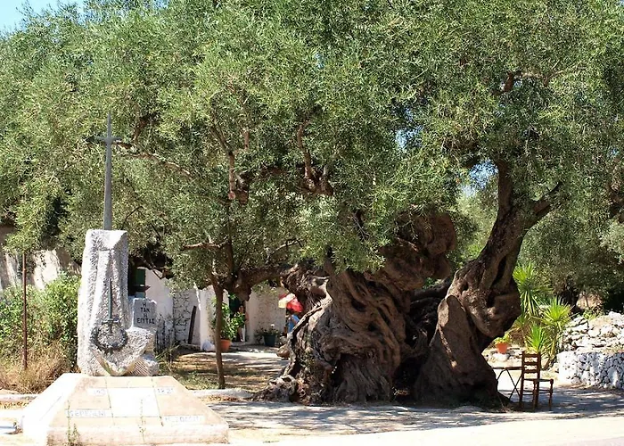 公寓 热带公寓 拉加纳斯