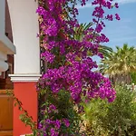Tropical Laganas