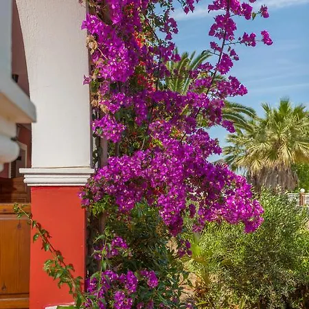 Tropical Laganas